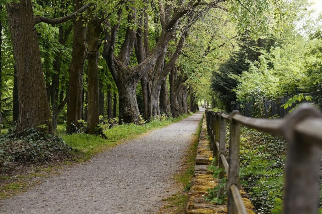 A gravel path runs through a wooded area, bordered by a wooden fence on one side and tall trees with green leaves on both sides.