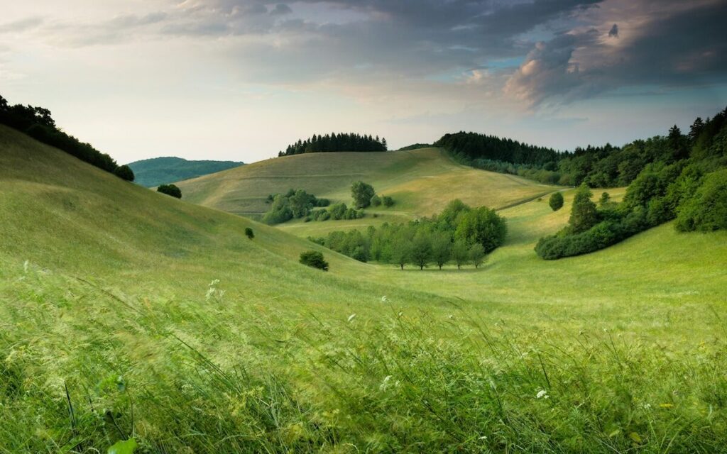 Rolling green hills with scattered trees and bushes under a cloudy sky, with distant forested areas in the background.