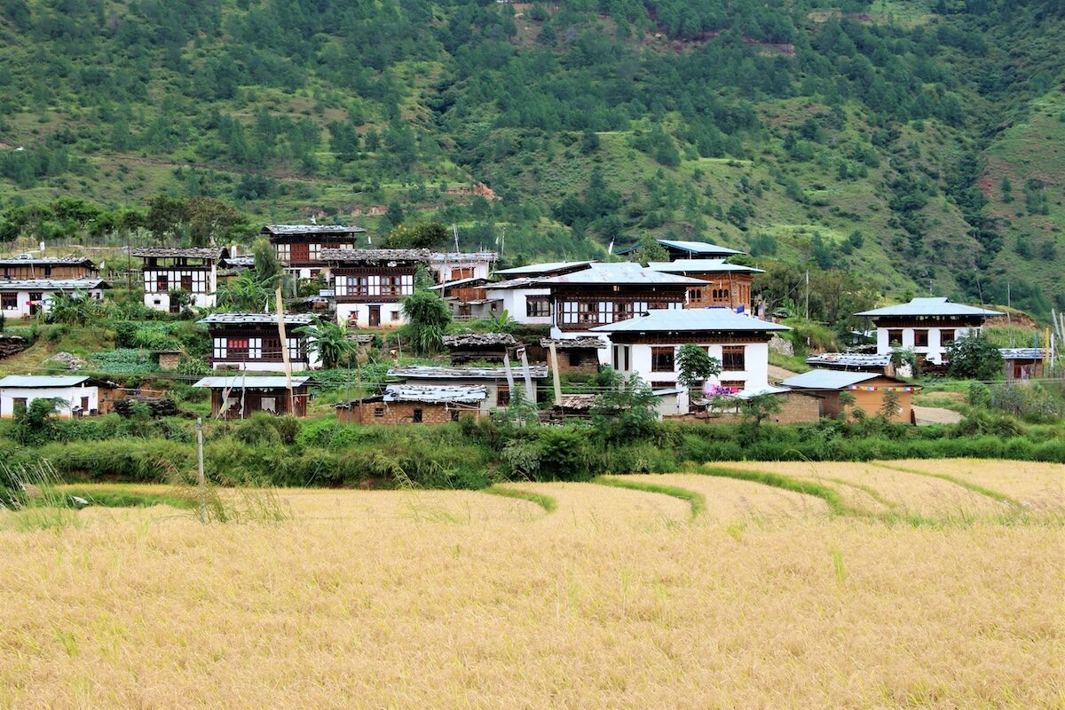 Houses with tin roofs are clustered on a hillside surrounded by greenery and fields of golden crops in the foreground.