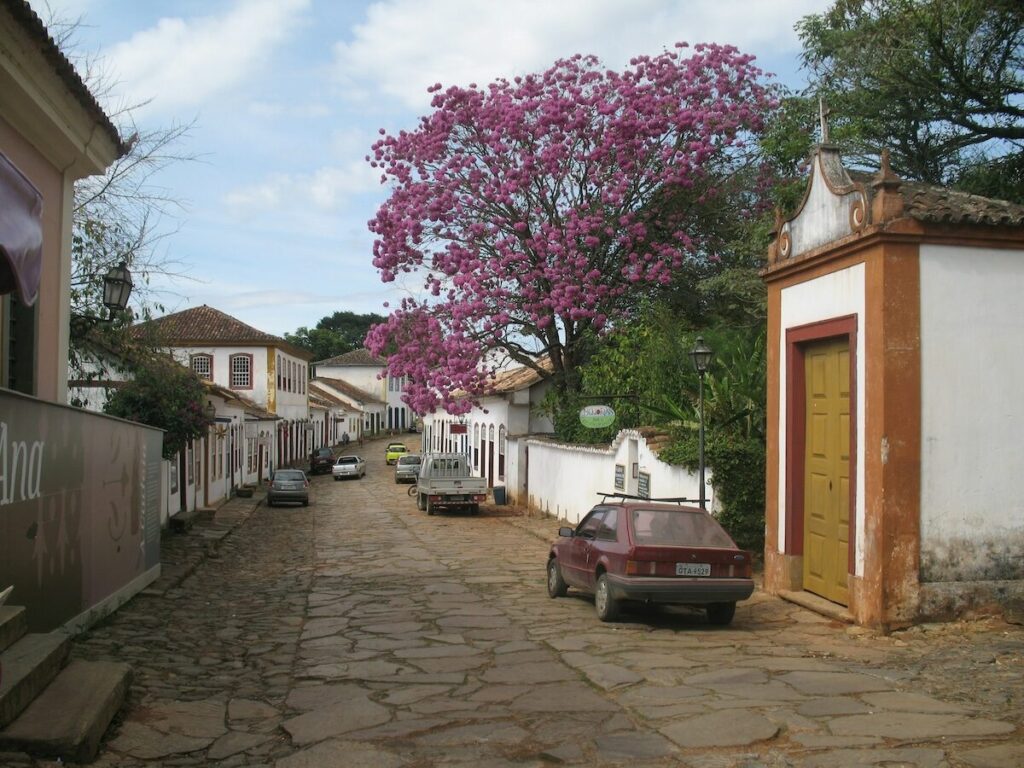 A cobblestone street lined with old buildings and parked cars, featuring a large tree with pink flowers in the center background.