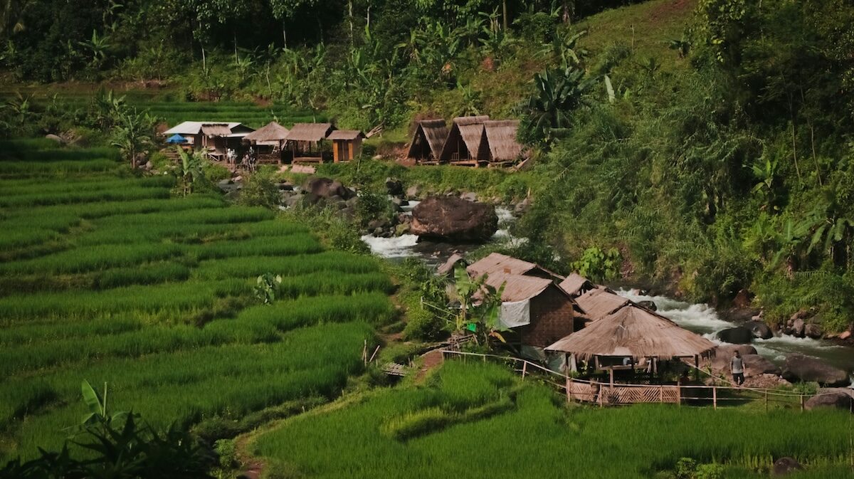 Wooden huts with thatched roofs are situated along a stream, bordered by green terraced rice fields and dense jungle vegetation.