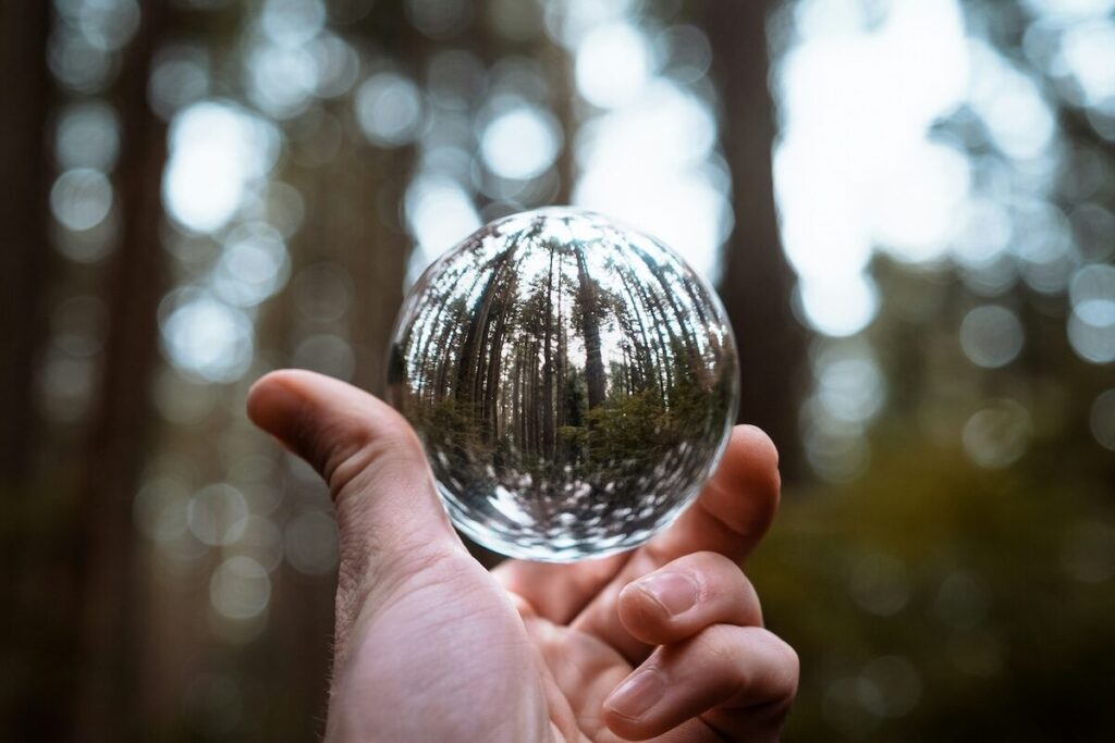 A hand holds a clear glass sphere, reflecting an inverted image of tall trees in a blurred forest background.
