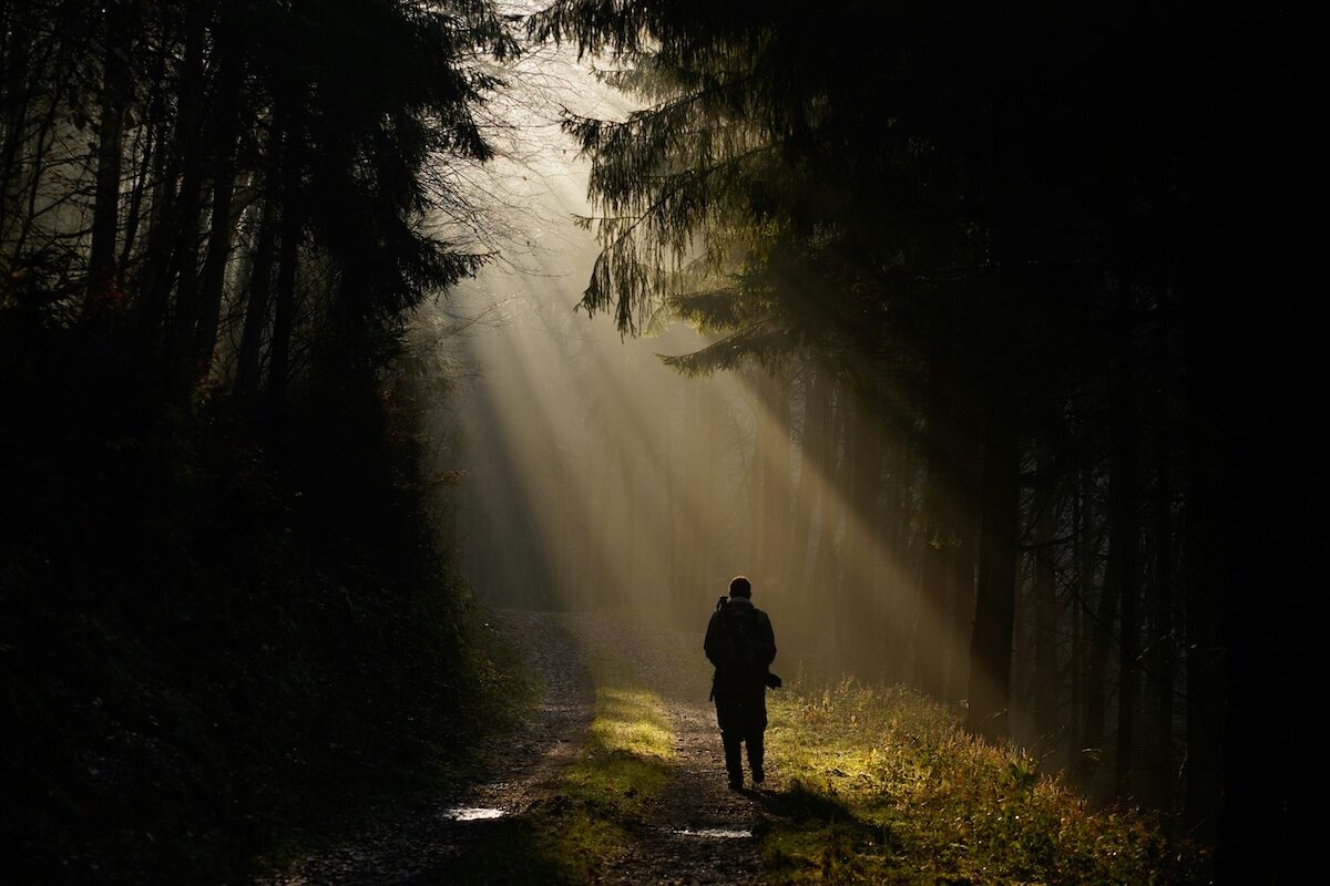 A person walks alone on a forest path with sunlight streaming through the trees, creating bright rays and casting shadows on the ground.