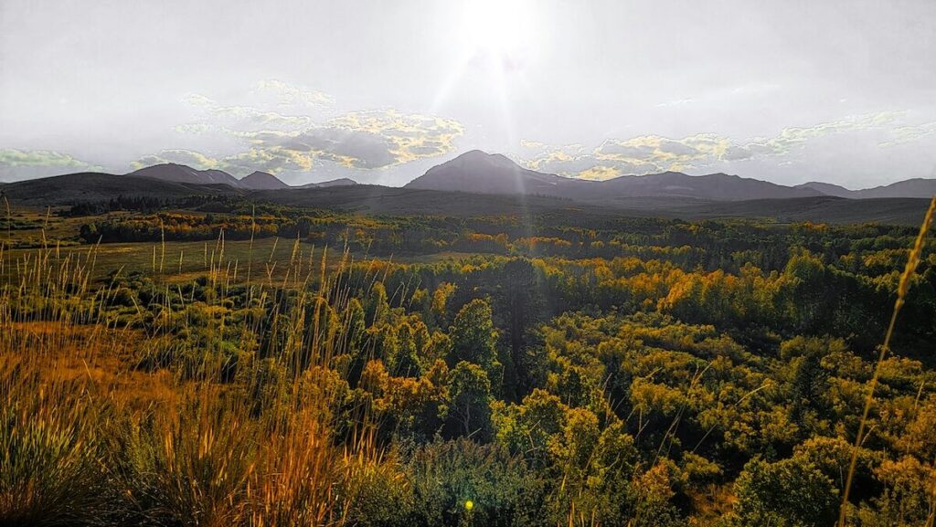 A sunlit landscape with green and yellow trees, grassy fields in the foreground, and mountains under a bright sky in the background.