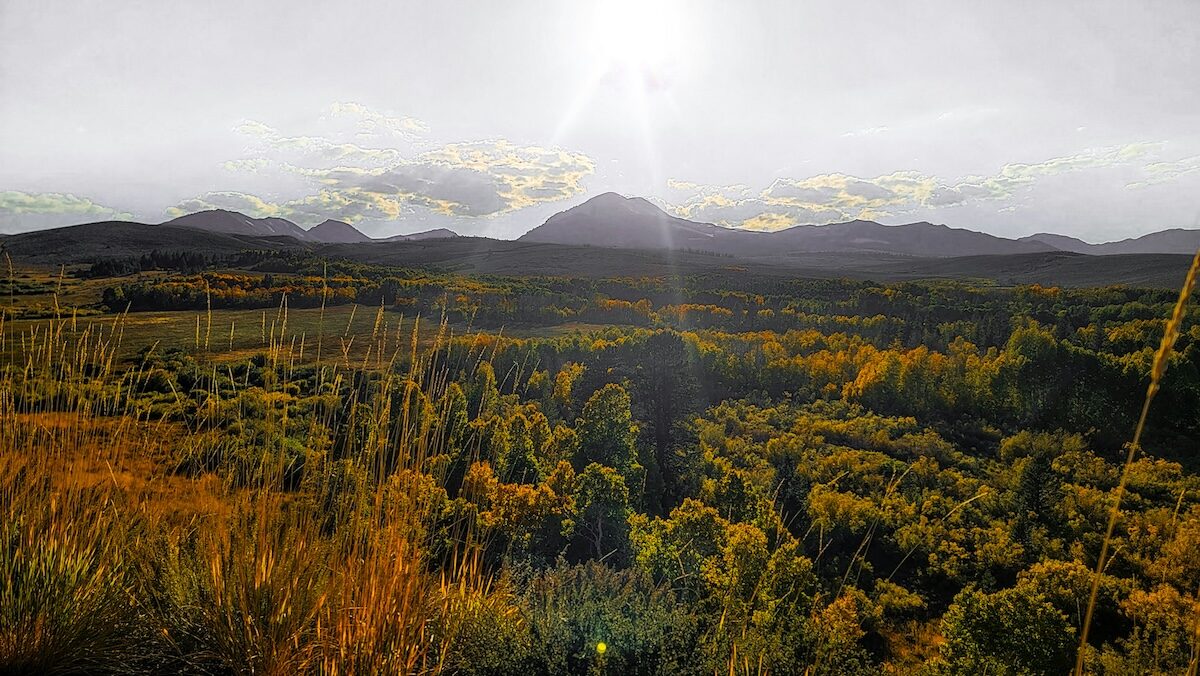 A sunlit landscape with green and yellow trees, grassy fields in the foreground, and mountains under a bright sky in the background.