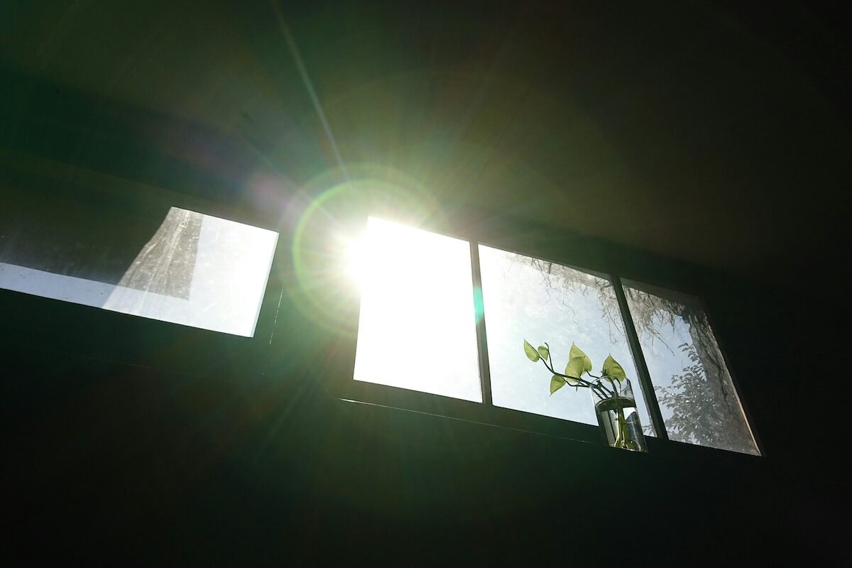 Sunlight streams through a window with partially open curtains, illuminating a small potted plant on the windowsill.