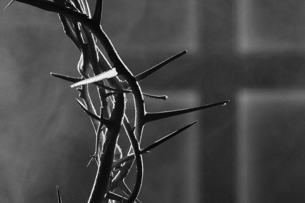 A close-up of a crown of thorns with sharp spikes, set against a blurred background featuring the silhouette of a cross.