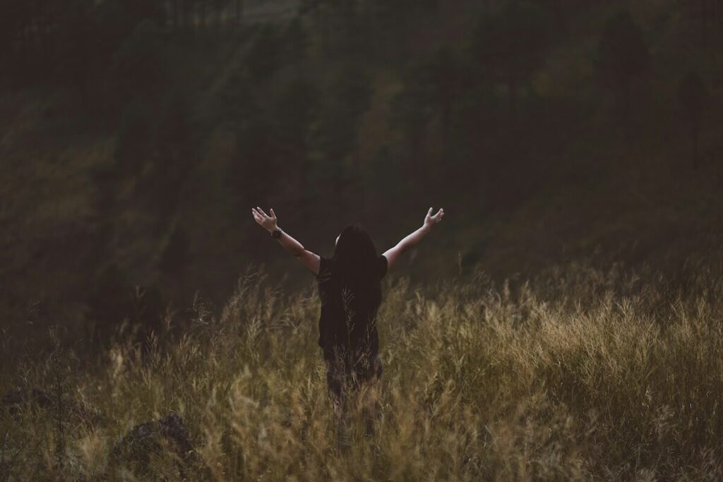 A person stands in a grassy field with arms raised, facing away toward a dimly lit, tree-covered background.
