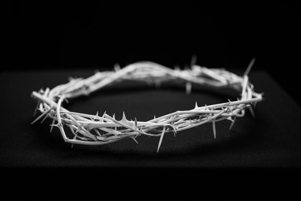 A circular crown made of intertwined thorny branches displayed against a black background.
