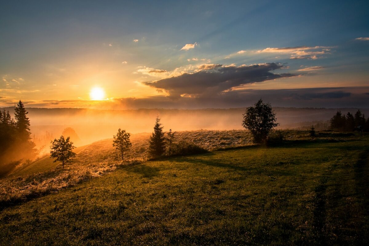 Sunrise over a grassy field with scattered trees, low mist, and a partly cloudy sky.