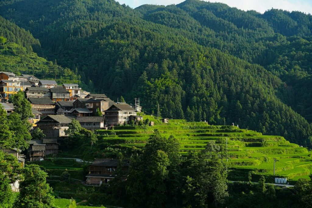 Traditional wooden houses are built on a hillside with green terraced rice fields and dense forested mountains in the background.