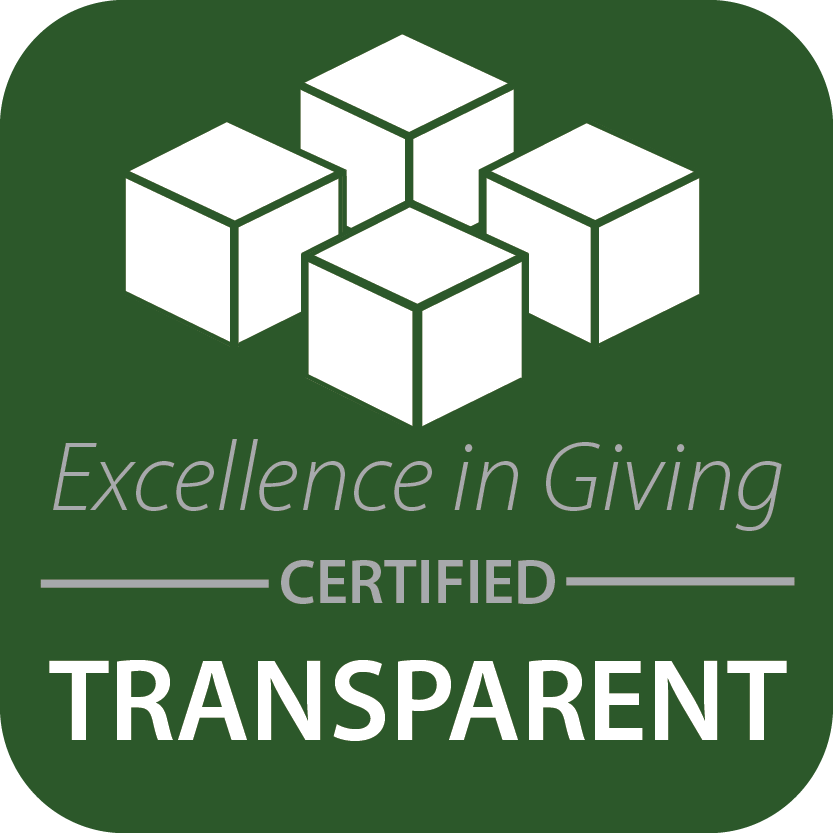 Green square with rounded corners. Inside, there are 4 white cubes above white text reading 'Excellence in giving certified transparent'.