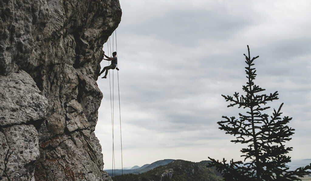 A person climbs a cliff with ropes. A tree is in the foreground.