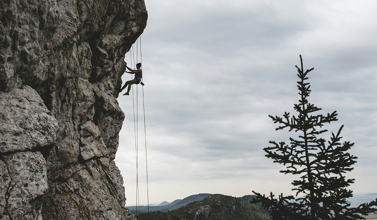A person climbs a cliff with ropes. A tree is in the foreground.
