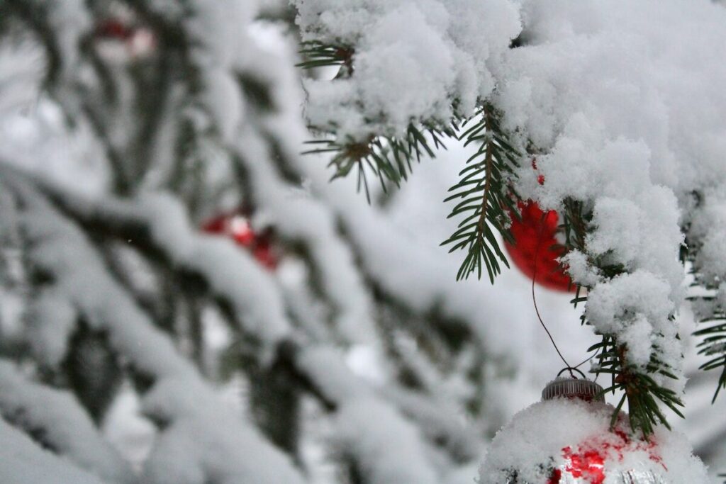 Snow-covered pine branches with red ornaments partially visible.