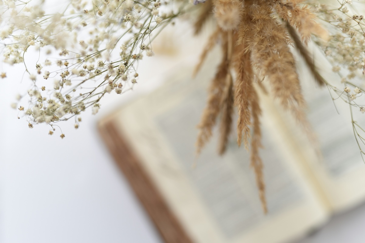 Blurred open book with dried flowers and grasses in the foreground, creating a soft and natural aesthetic.