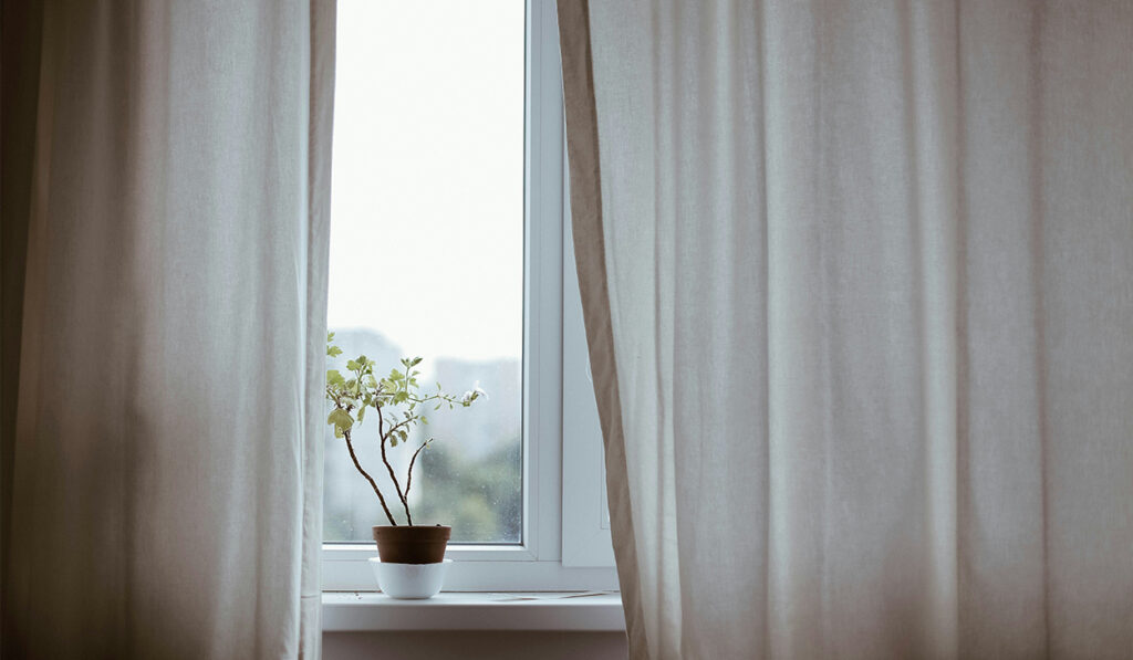 The window seal with curtains hanging down and a plant growing.