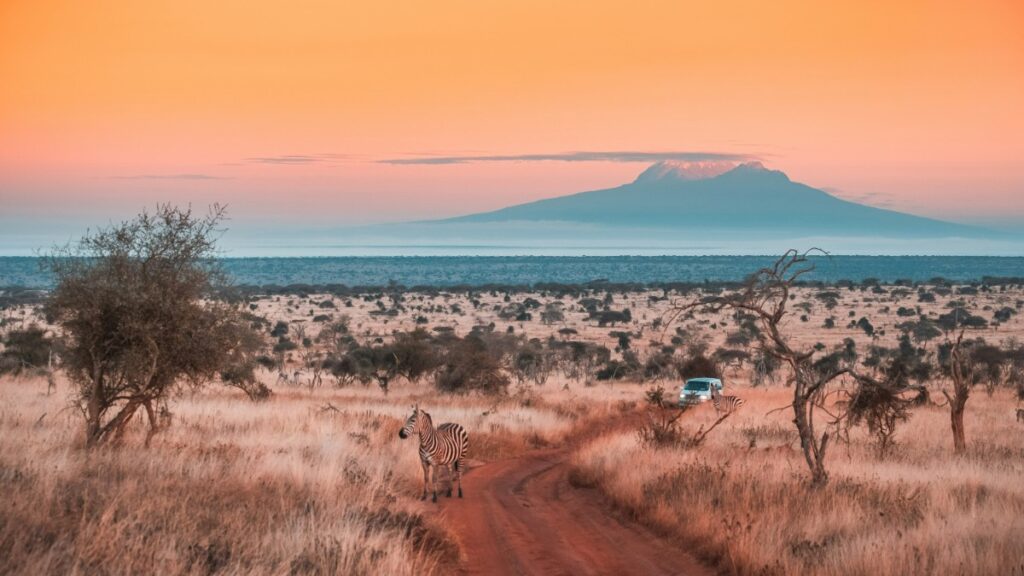 A dirt path winds through a savanna landscape with scattered trees, leading towards a distant mountain under an orange sky.