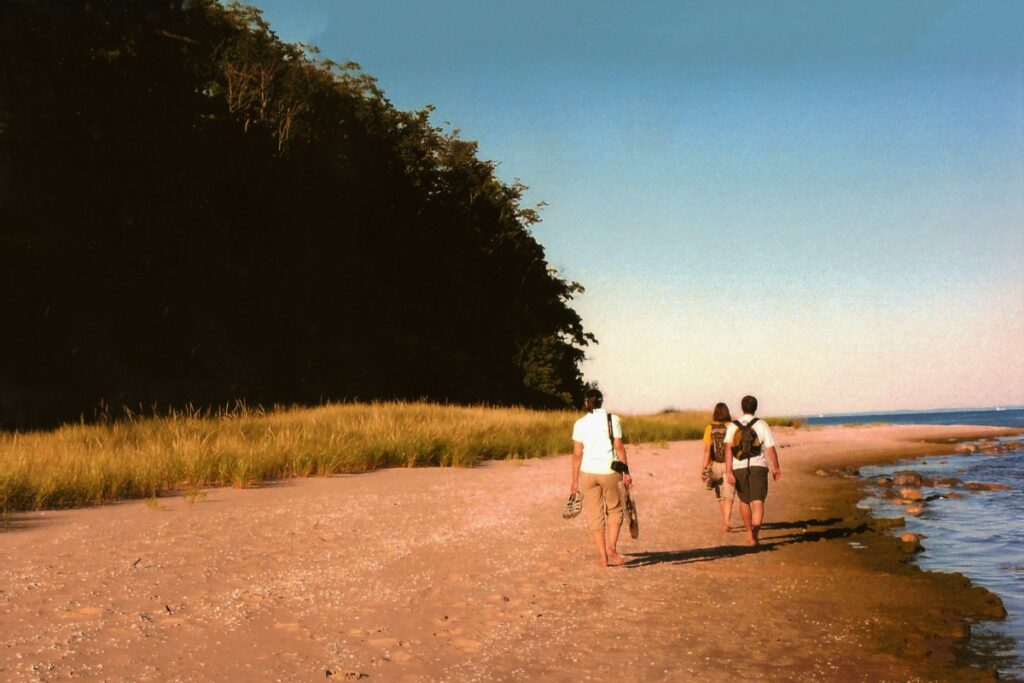 Three people walking on a beach beside the ocean and a forested area under a clear sky.