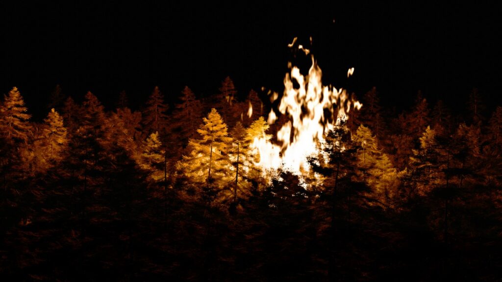 A fire burns brightly in the middle of a dark forest, illuminating the surrounding trees.