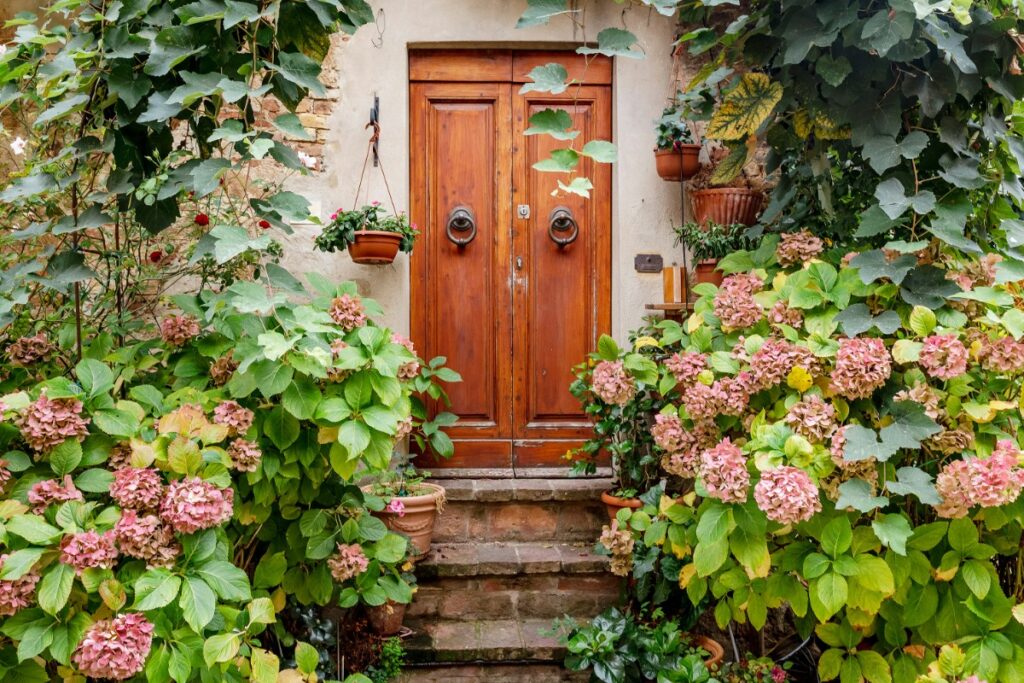 A wooden door framed by lush greenery and pink hydrangeas, with stone steps leading up to it.