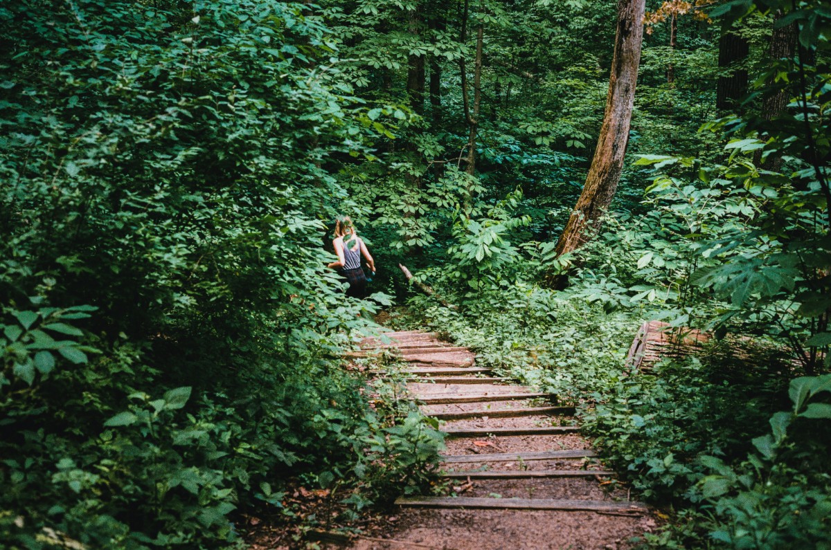 Person sitting in a lush, green forest beside wooden steps in a clearing.