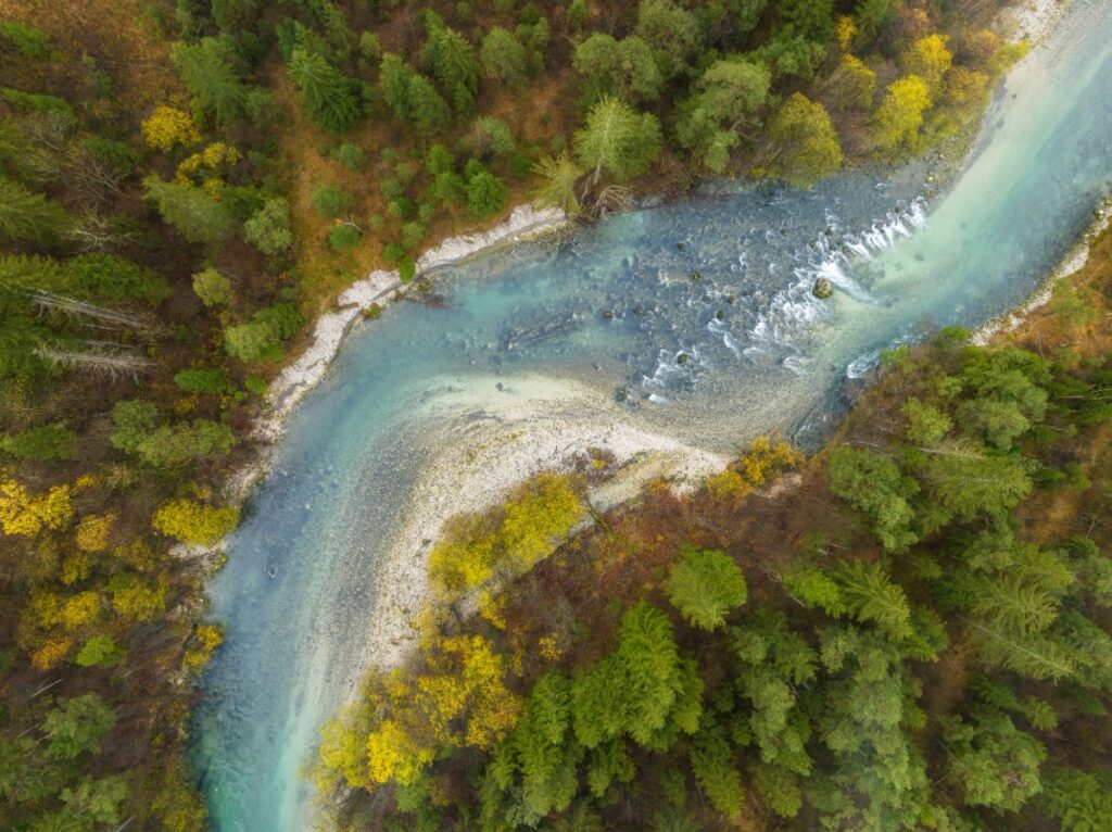 Aerial view of a winding river with clear blue water, bordered by dense, green forest and scattered yellow trees.