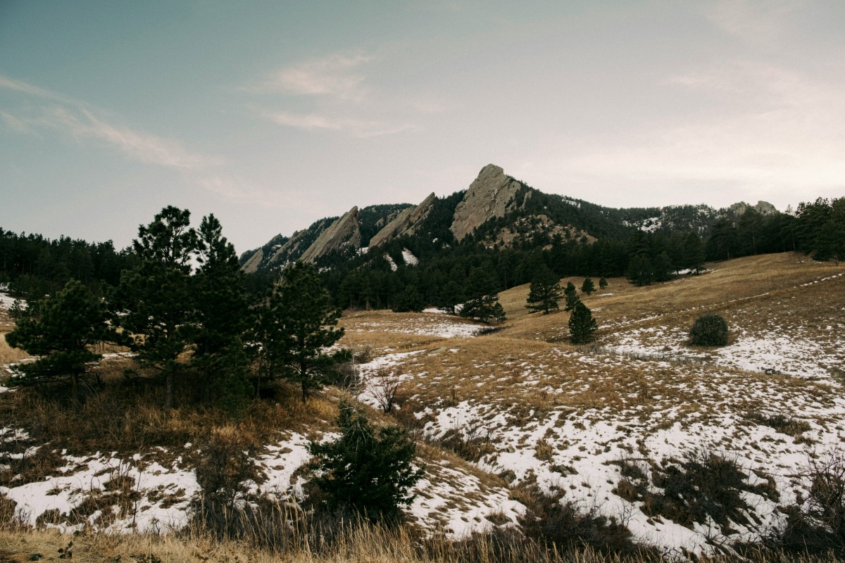 Snow-dusted field with scattered trees in the foreground, leading to rocky mountain peaks under a cloudy sky in the background.
