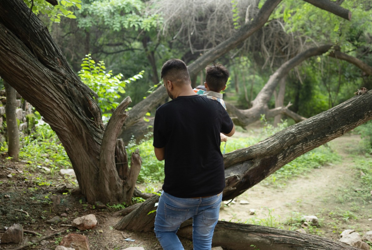 A man in a black shirt carries a child through a wooded area, surrounded by fallen trees and greenery.