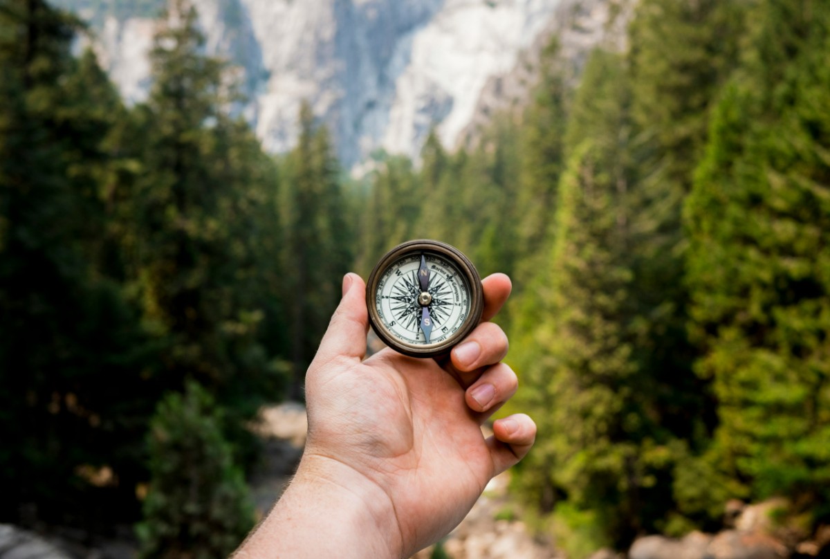 A hand holds a compass with a forest and mountains in the background.