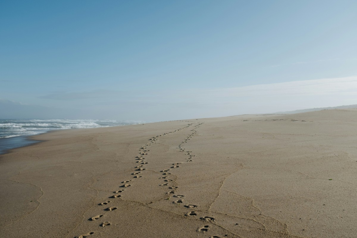 Footprints in the sand lead toward the horizon on a wide, empty beach under a clear blue sky.