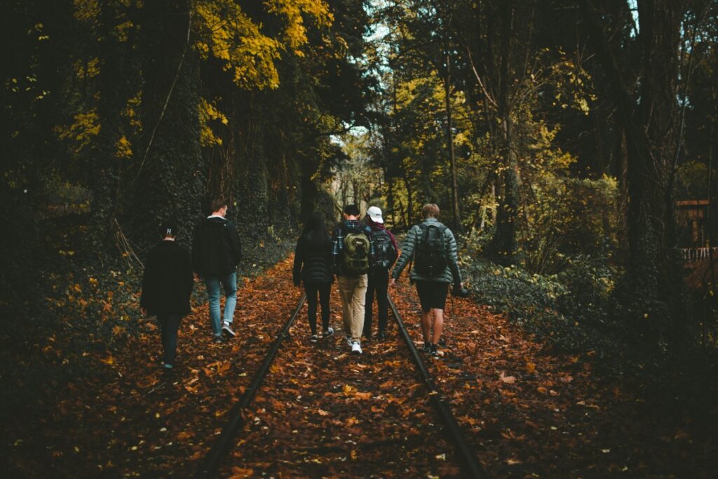 Group of six people walking on a leaf-covered path in a forest during autumn.