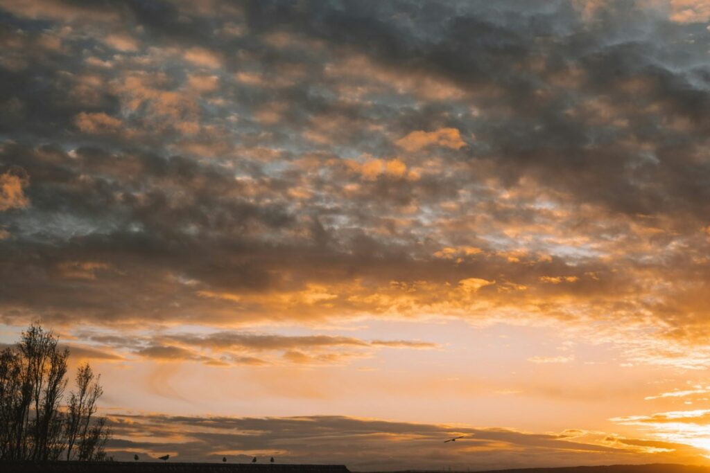 Cloudy sky during sunset with orange and gray hues, silhouetted trees on the left, and a dark horizon at the bottom.