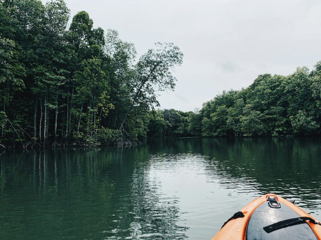A kayak on calm water surrounded by lush green trees under an overcast sky.