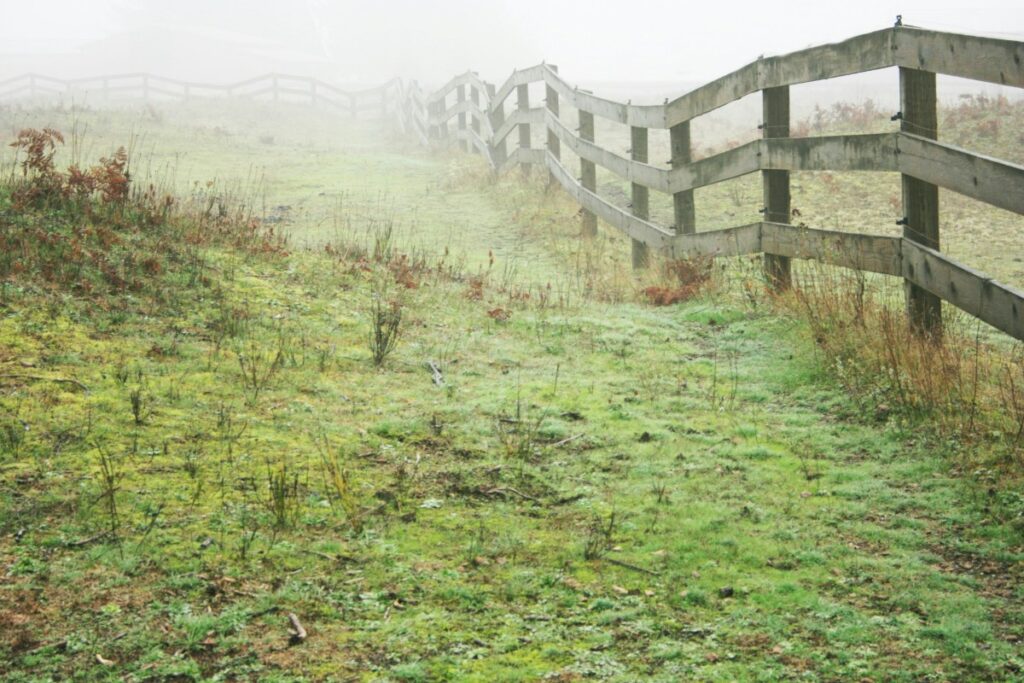 Foggy rural scene with a wooden fence extending into the distance, separating a grassy, slightly overgrown path from a mist-covered field.