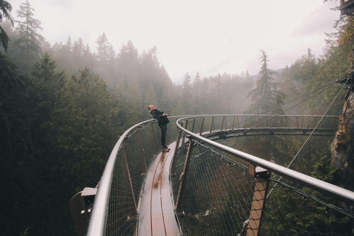 Person leaning on railing of a curved, elevated walkway in a misty forest setting.