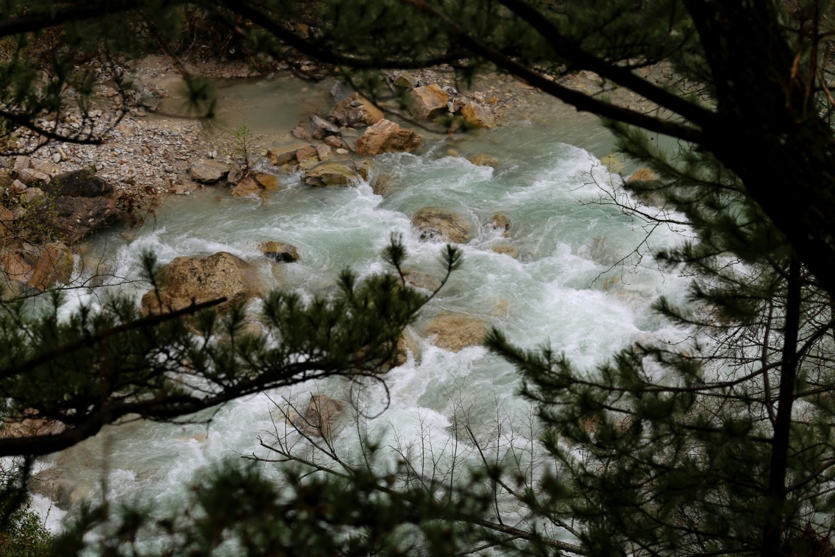 A river with white water flows over rocks, surrounded by green tree branches in the foreground.
