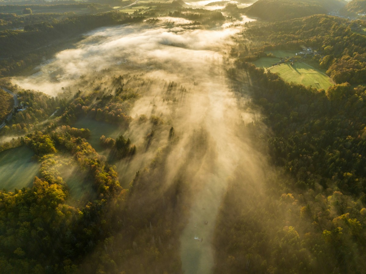 Aerial view of a foggy landscape with fields, forests, and soft morning light creating a serene atmosphere.