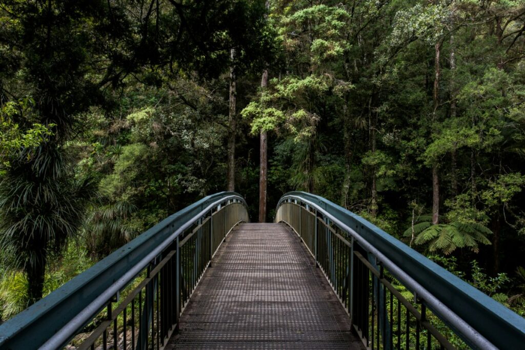 A narrow metal bridge leads into a dense, green forest with tall trees and lush foliage under a cloudy sky.