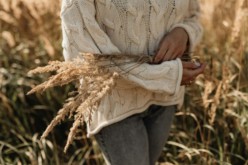 Person in a knitted sweater holding a bundle of wheat stalks in a field.