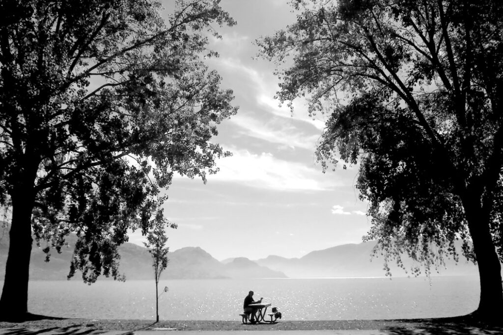 A person sits on a bench with a dog by their side, framed by two large trees, overlooking a lake and mountains in the background. The scene is in black and white.