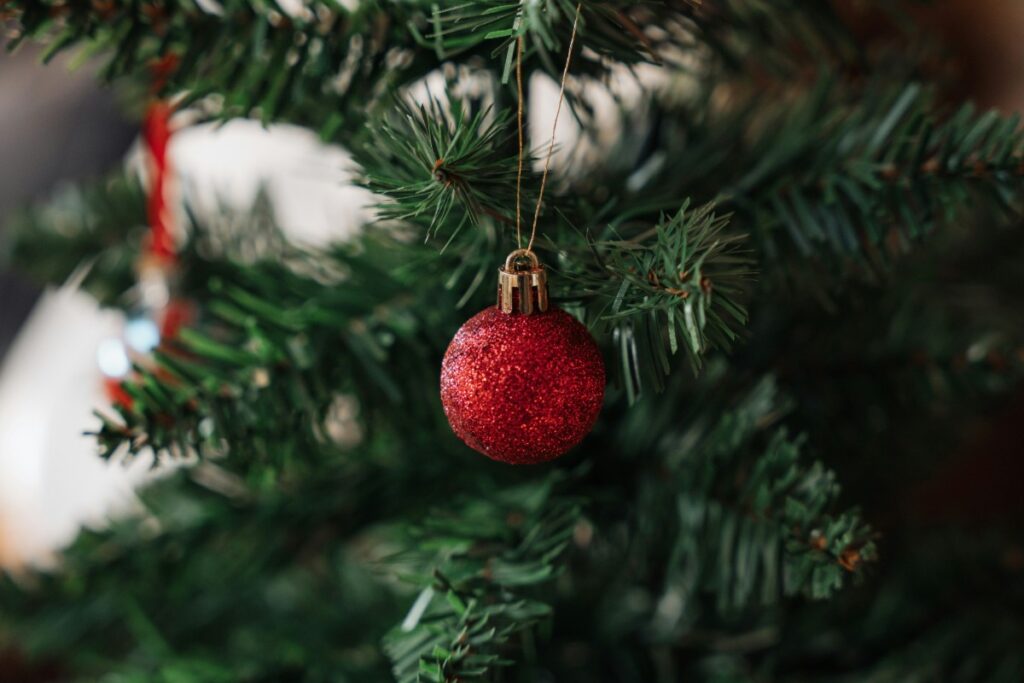A red Christmas ornament hanging on a green pine tree branch.